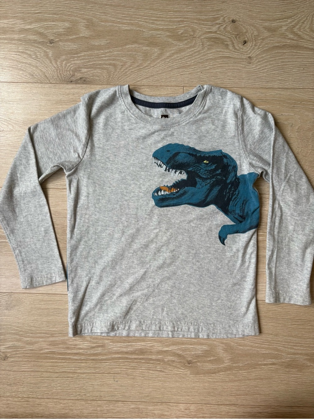 Tea Collection Double-sided Dinosaur Long Sleeve Tee Size 6
